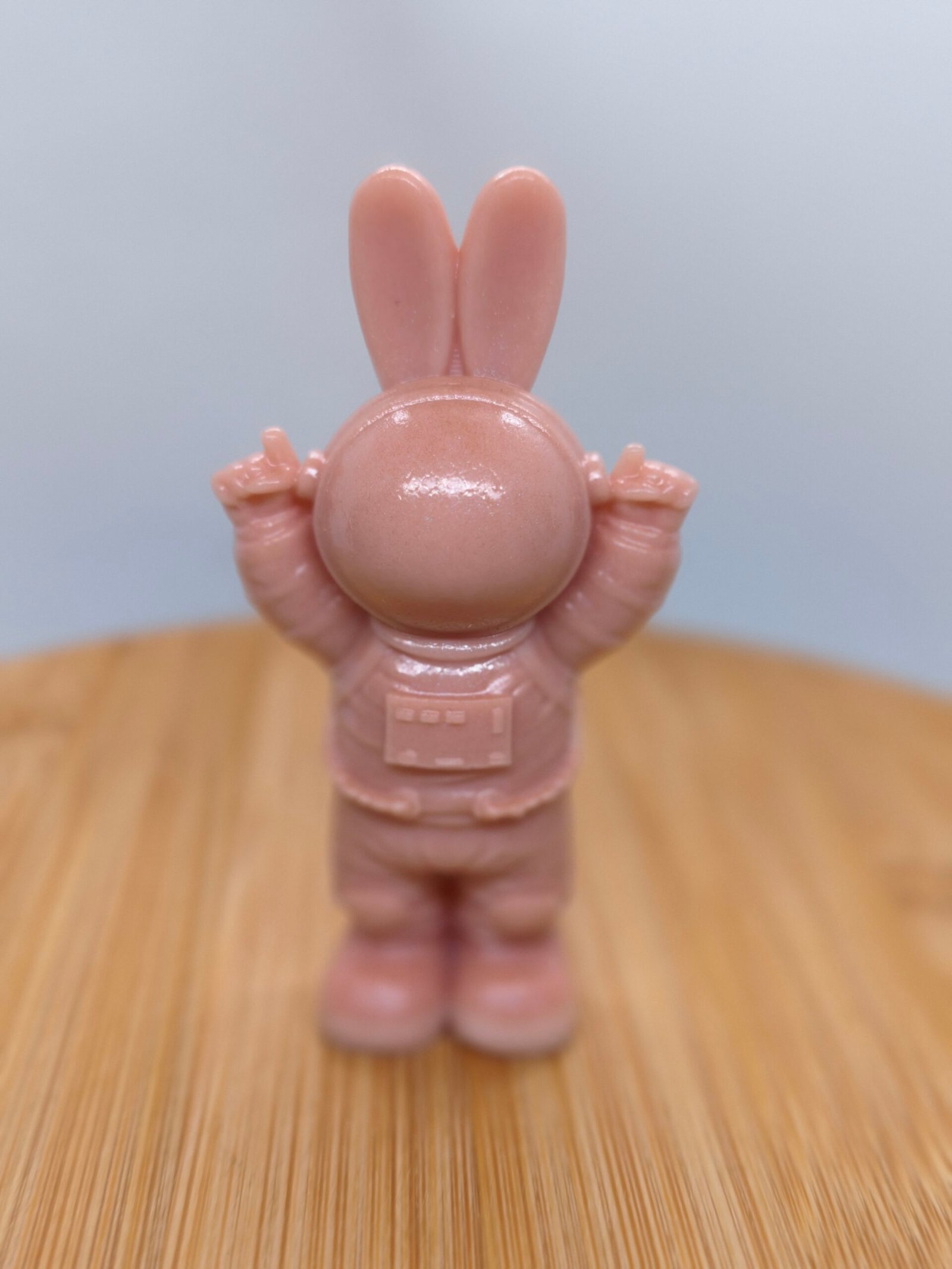 Lapin Cosmonaute – Image 7