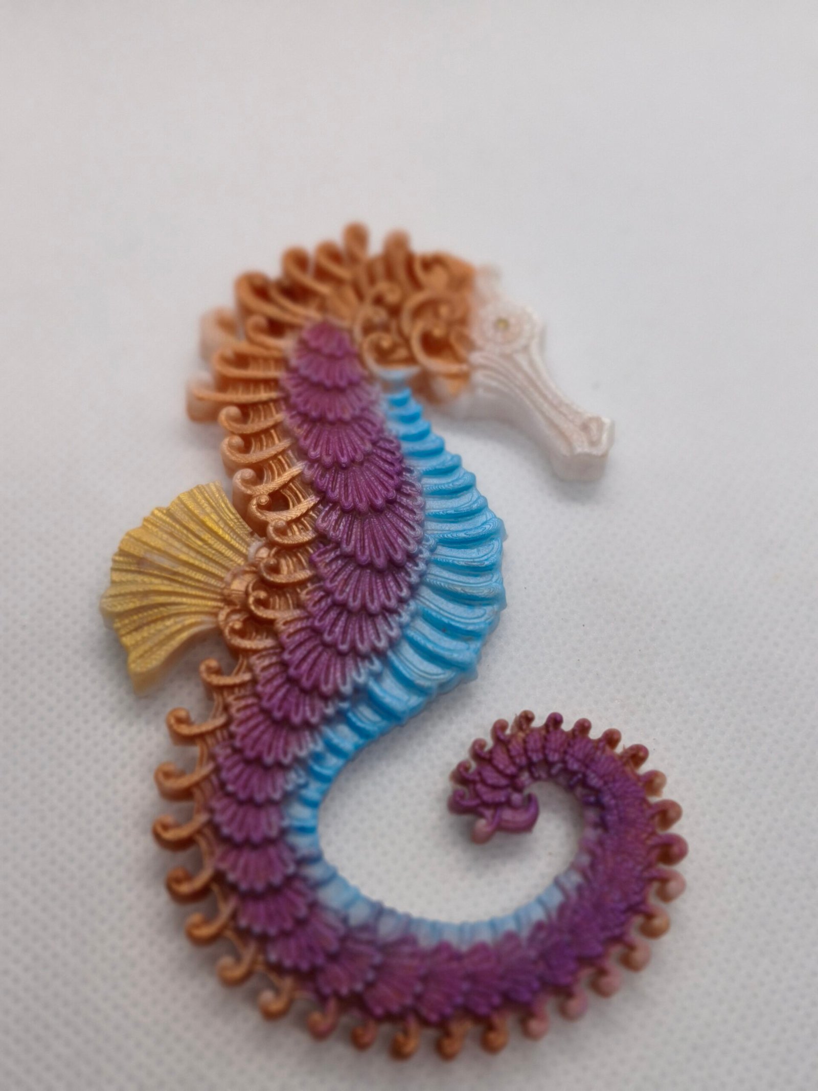 Aimant Hippocampe – Image 3