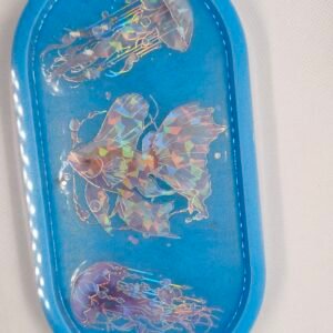 Vide Poche Poissons holographiques